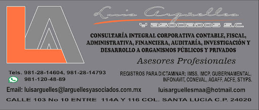 Despacho Luis Arguelles Y Asociados