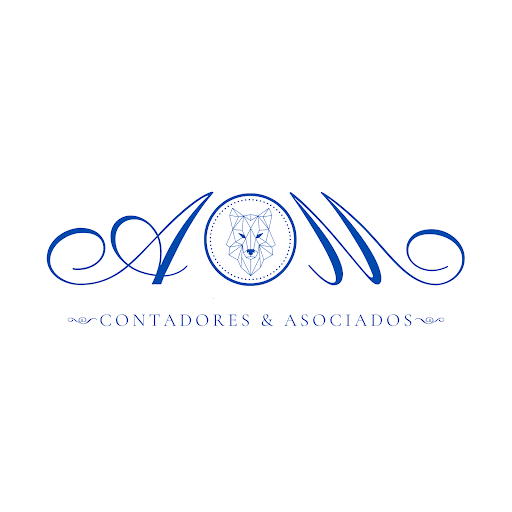 CYSA CONSULTORES A.M.